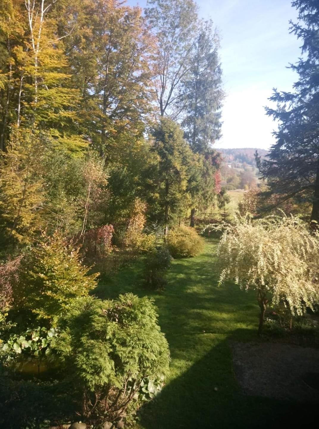 Ferienwohnung Mieszkanie W Gorach W Domu Prywatnym W Beskidzie Zywieckim 25Km Od Zywca Koszarawa Exterior foto