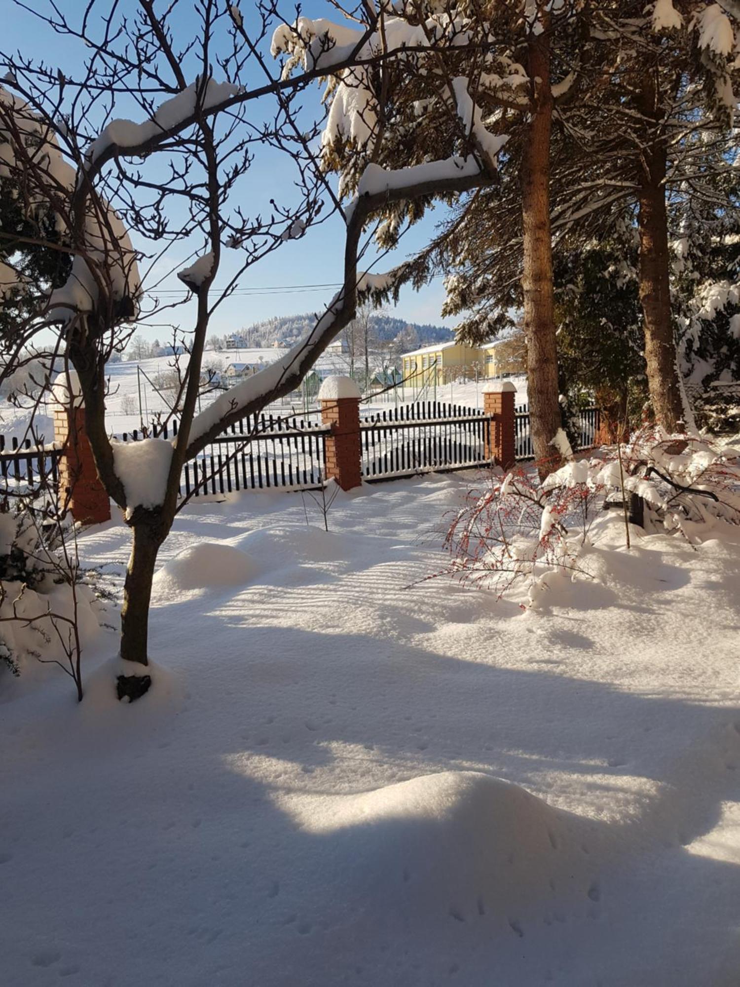 Ferienwohnung Mieszkanie W Gorach W Domu Prywatnym W Beskidzie Zywieckim 25Km Od Zywca Koszarawa Exterior foto